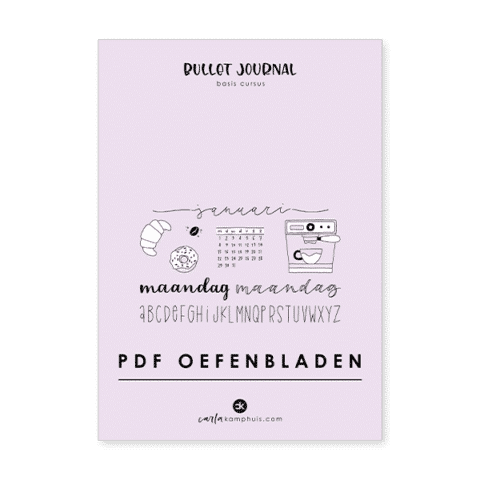 Worksheets Bullet Journal Basis cursus